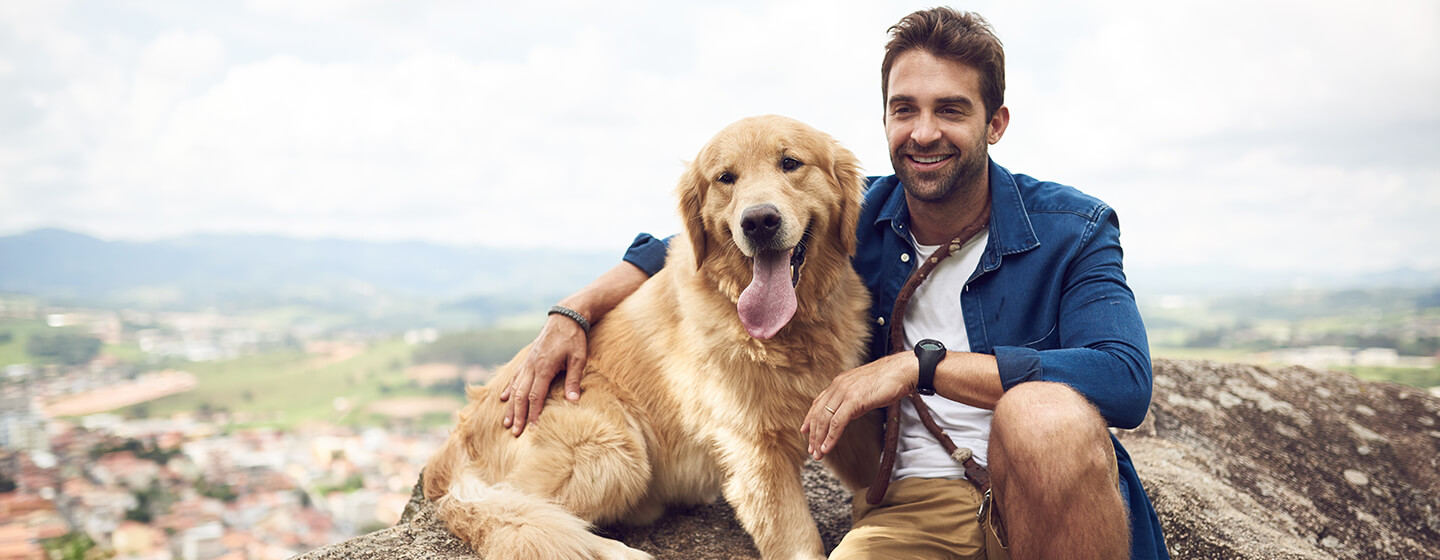 Consejos Para Viajar Con Perro | Purina®